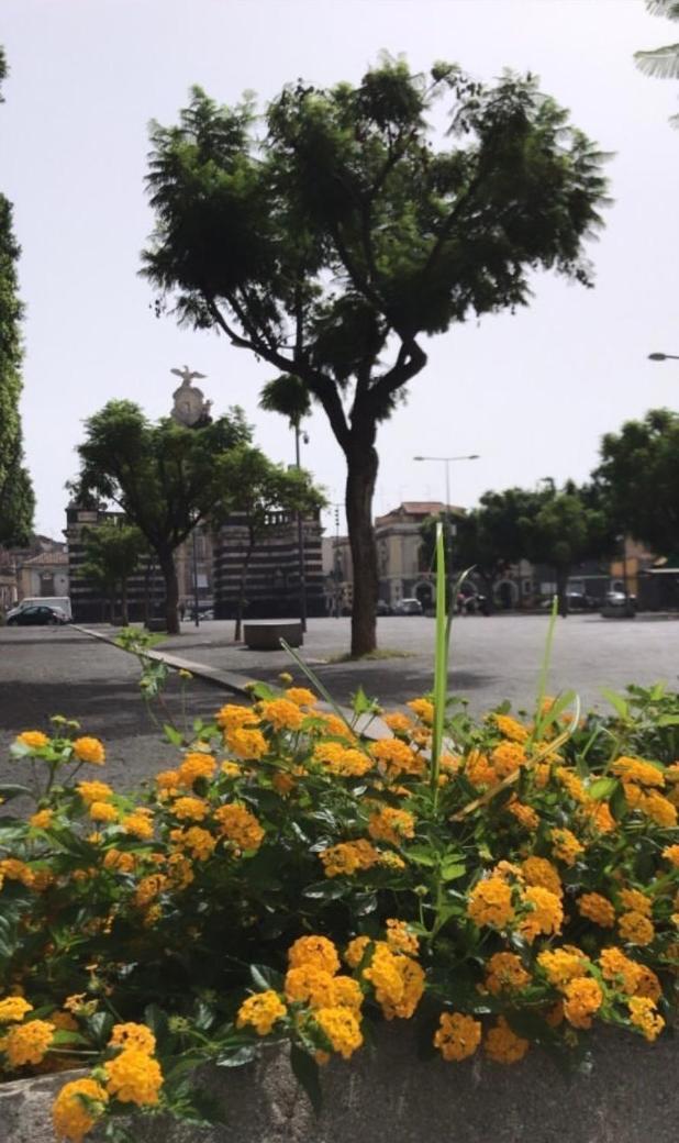 Il Fortino Apartment Catania Exterior photo